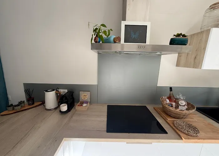 Le Havre De Paix En Garrigue 4 3 Sdb Piscine * Bezouce